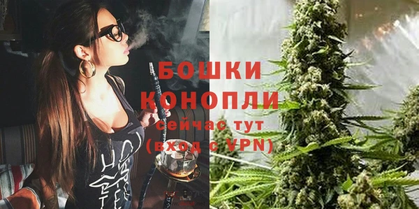 ГАЛЛЮЦИНОГЕННЫЕ ГРИБЫ Абдулино