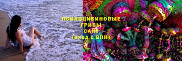 PSILOCYBIN Инта